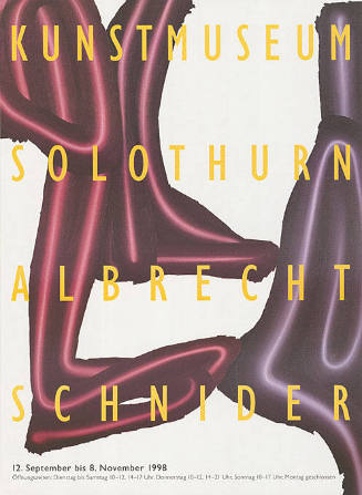 Albrecht Schnider, Kunstmuseum Solothurn