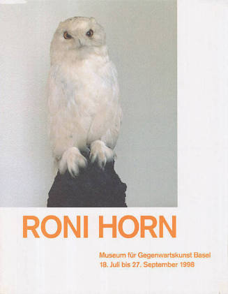 Roni Horn, Museum für Gegenwartskunst Basel