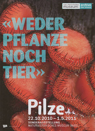 «Weder Pflanze noch Tier», Pilze, Naturhistorisches Museum Basel