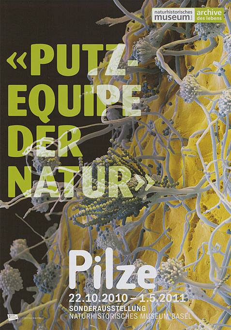 «Putzequipe der Natur», Pilze, Naturhistorisches Museum Basel