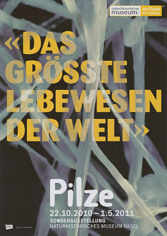 «Das grösste Lebewesen der Welt», Pilze, Naturhistorisches Museum Basel