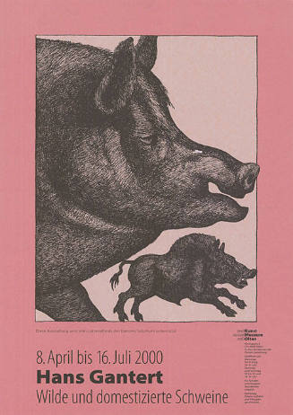 Hans Gantert, Wilde und domestizierte Schweine, Kunstmuseum Olten