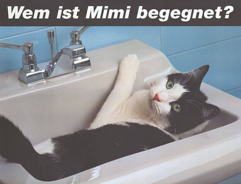 Wem ist Mimi begegnet?