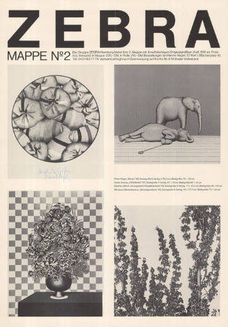 Zebra, Mappe Nº 2