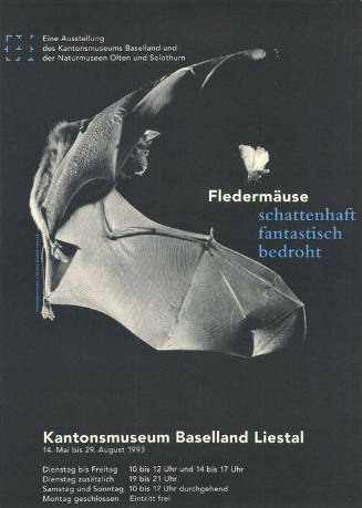 Fledermäuse, schattenhaft, fantastisch, bedroht, Kantonsmusem Baselland, Liestal