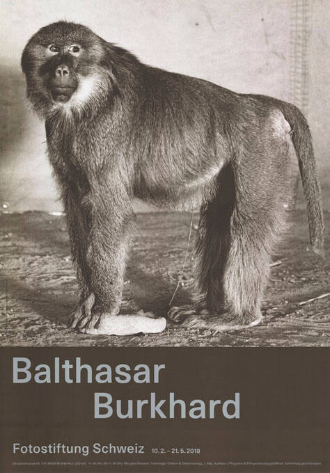 Balthasar Burkhard, Fotostiftung Schweiz