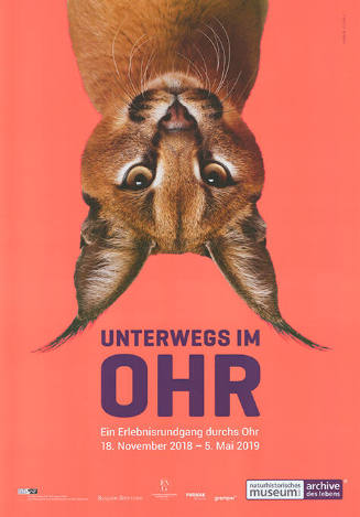 Unterwegs im Ohr, Naturhistorisches Museum Basel