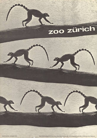 Zoo Zürich