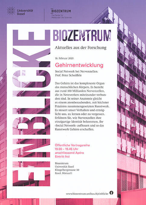 Einblicke, Gehirnentwicklung, Biozentrum