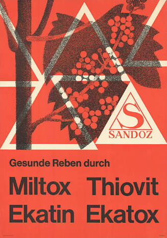 Gesunde Reben durch Miltox, Ekatin, Thiovit, Ekatox