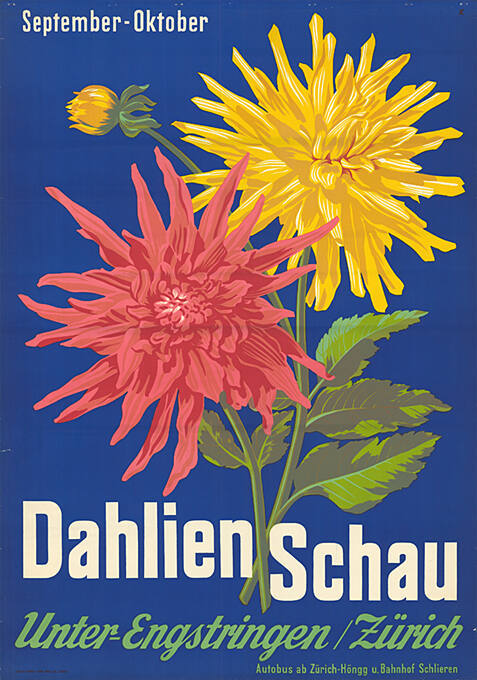 Dahlien Schau, Unter-Engstringen/ Zürich