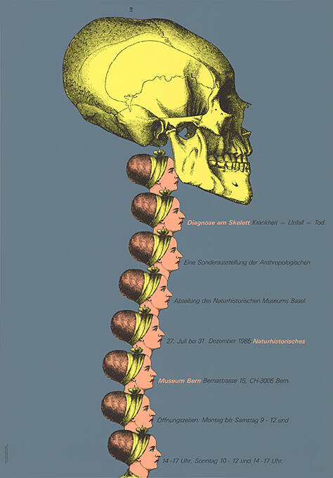 Diagnose am Skelett, Naturhistorisches Museum Bern