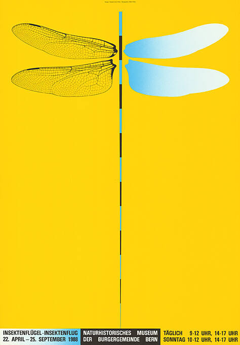 Insektenflügel – Insektenflug, Naturhistorisches Museum der Burgergemeinde Bern