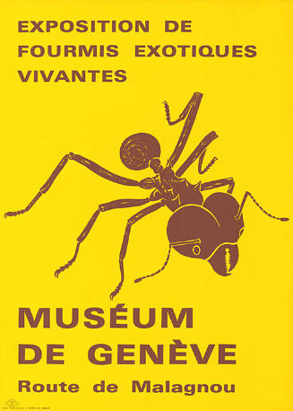 Exposition de fourmis exotiques vivantes, Muséum de Genève