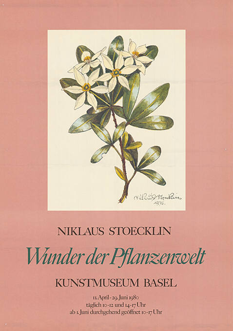 Niklaus Stoecklin, Wunder der Pflanzenwelt, Kunstmuseum Basel