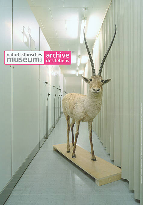 Naturhistorisches Museum Basel, Archive des Lebens