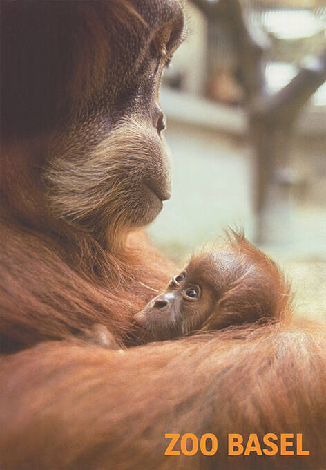 Zoo Basel