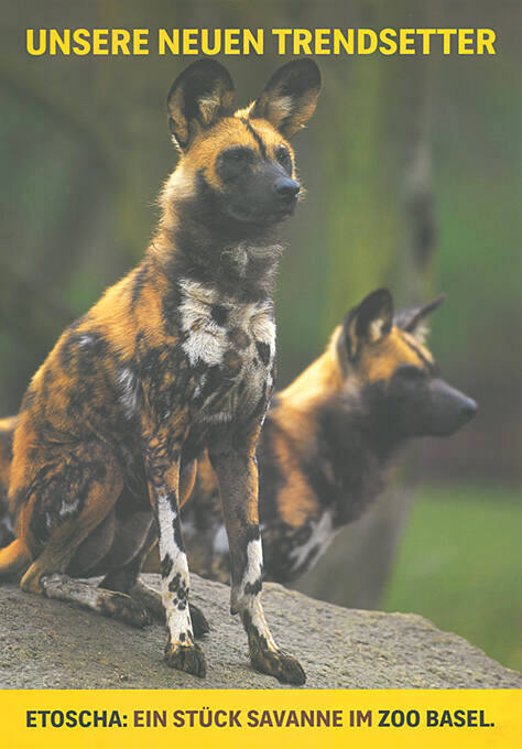 Unsere neuen Trendsetter, Etoscha: ein Stück Savanne im Zoo Basel