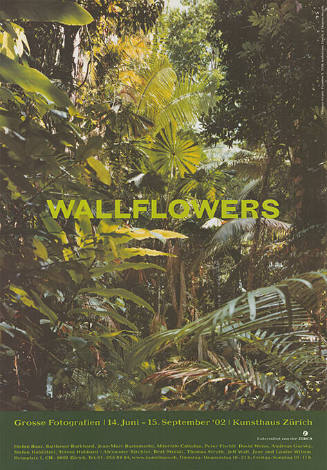 Wallflowers, Grosse Fotografien, Kunsthaus Zürich