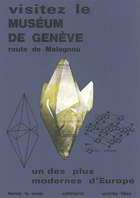 Muséum de Genève, Muséum d’histoire naturelle