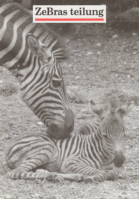 ZeBras teilung