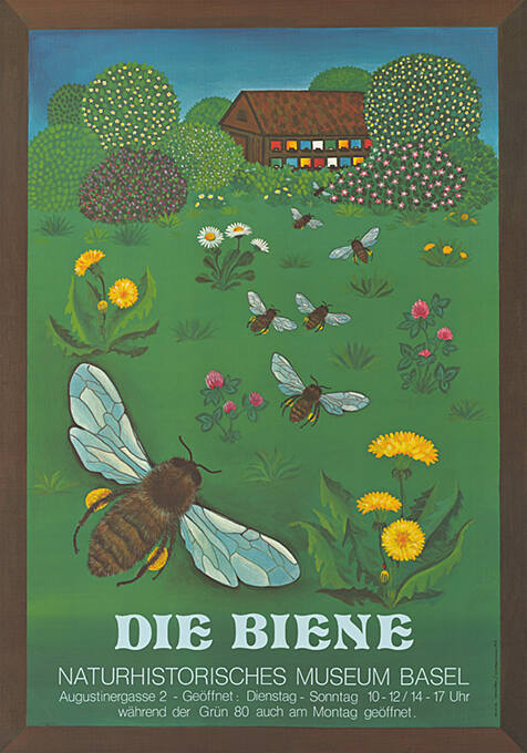 Die Biene, Naturhistorisches Museum Basel