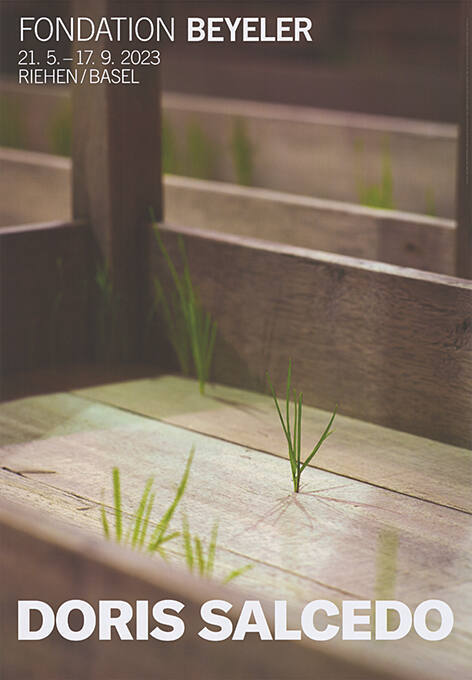 Doris Salcedo