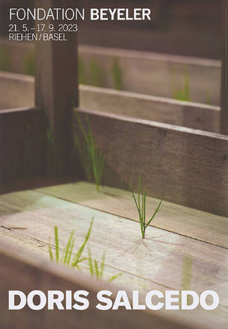 Doris Salcedo, Fondation Beyeler
