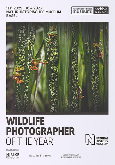 Wildlife Photographer of the year, Naturhistorisches Museum Basel
