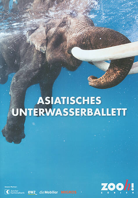 Asiatisches Unterwasserbalett, Zooh! Zürich