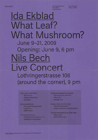 Ida Ekblad, What Leaf? What Mushroom? Nils Blech, Live Concert, New Jerseyy, Basel