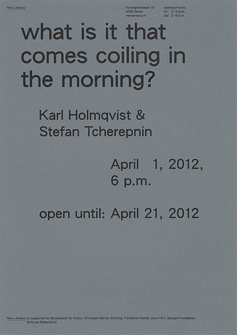 What is it That Comes Coiling in the Morning? Karl Holmqvist & Stefan Tcherepnin, New Jerseyy, Basel