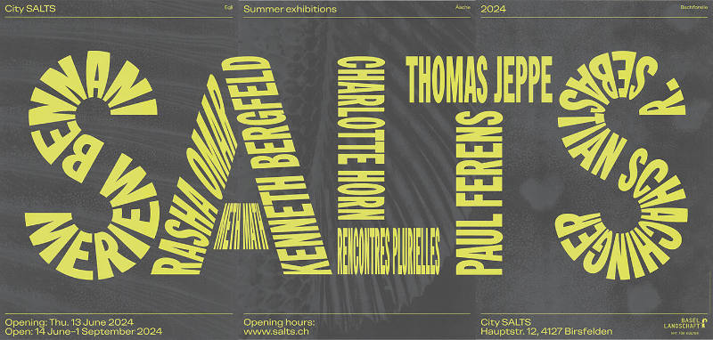 Summer Exhibitions, Summer 2024, City Salts