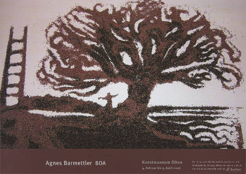 Agnes Barmettler, BOA, Kunstmuseum Olten