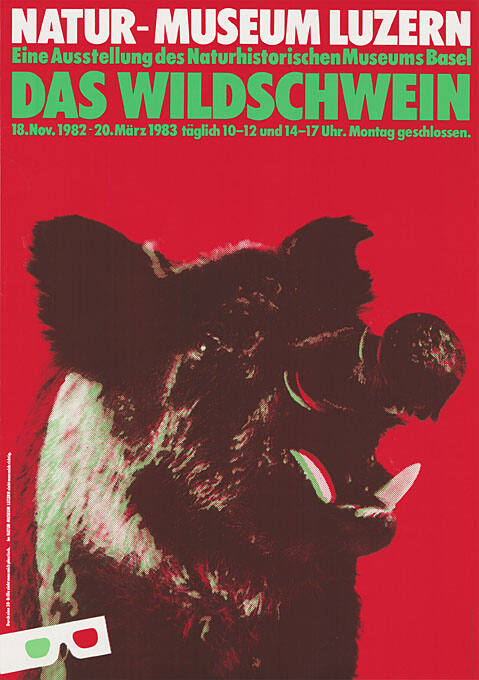 Das Wildschwein, Natur-Museum Luzern